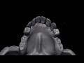 Zbrush Skull Time Lapse