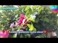 ❤️🌹❤️ ANNELER GÜNÜ KUTLU OLSUN❤️🌹❤️ CENNET ANNELERİN AYAĞI ALTINDADIR❤️🌹❤️(S.A.V)