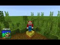 I Remade Mario's Pad in Minecraft!
