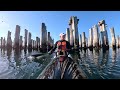 Old Princes pier piles Port Melbourne