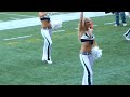 seagals