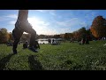 Afternoon at Mount Royal Park, Montreal: Timelapse