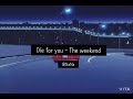 사랑 때문에 죽을 수 있어 Die for you - The weeknd [가사해석/자막/lyric]