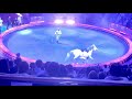 Russian Circus Horses Show -4