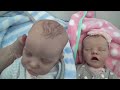 Beautiful Reborn Baby Box Opening! It's Twins! | Kelli Maple