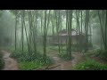 ASMR Sleep and Relaxation Sounds, Serene Rain in Bamboo Woods, Cozy Thatched House