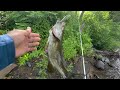 Jerk Bait Fishing For Smallmouth Bass On The LEHIGH RIVER