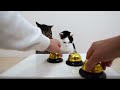 Cats and Shuffle Game