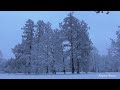 Звуки пурги, падающего снега для сна. The sounds of a blizzard, falling snow for falling asleep.