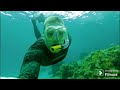 Snorkeling Chankanaab Adventure Park in Cozumel [Dolphins and Manatees]