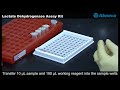 Lactate Dehydrogenase Assay Kit