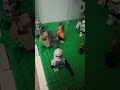Lego Star Wars Battle of Kashyyyk MOC (Update 7)