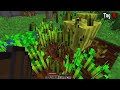 Ich überlebe 100 Tage Minecraft in eine Parasiten Zombie Apokalypse - Minecraft Hardcore - Season 2