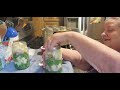 Wacky Wednesday Canning Green Beans, Ham and Potatoes Canning Recipe #canning