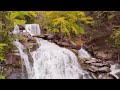 Relaxing River Sounds  || Peaceful Forest River ||  3 Hours Long  || HD 1080p ||  Nature Video