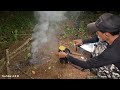 Solo Camping Cooking Fried Sardines in the Dense Forest