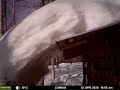 Time lapse of snow sliding off a woodshed, April 2020, Fairbanks, Alaska (CAM846)