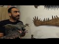 Richest Natural History Collection in Malta ⁉️ Part 1 ... Arnold Sciberras - CNG Trekventures