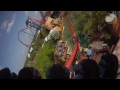 Sheikra Busch Gardens Tampa