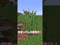 【検証】shortsまとめ①バケツのすごさ/クラフター最強説/いらないアイテム【マイクラ】【ゆっくり実況】一気見