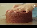 10 Chocolate Cake & Dessert Recipe | Baking Video | Cheesecake, Cookies, Macaron