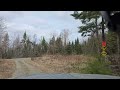 This Road Belongs To The Beavers Now Vlog