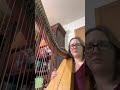 Marry You Bruno Mars | Harp Cover