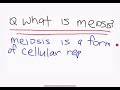 Meiosis stop motion project