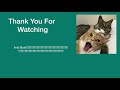 Nora's Cat Slide Show