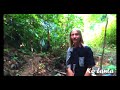 Father and the son and the holy spirit backpacking south Thailand Ep 4/5 _KO LANTA_