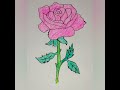 HOW TO DRAW A ROSE FLOWER.
