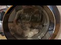 Miele WCR870WPS  - igiene cotone a 75 gradi - primo risciacquo e inizio centrifuga