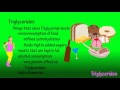 Triglycerides - What are Triglycerides - Triglyceride Levels - High Triglycerides