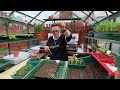We all have different ways | potting up pepper and onion seedlings