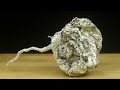 Casting a Yellowjacket Nest with Molten Aluminum