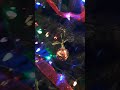 tying bows on the christmas tree