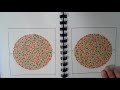 Ishihara Test 38 Plates - Videoslide of Collor Blindness Tes Book 38 Plates