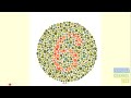 Colour Blind Isihara Test 48 Plates