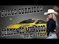 LAS 20 EXITOS PUROS CORRIDOS PERRONES MIX 2023