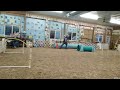 HAZEL'S SECOND RUN IN COMPRTIGION LEVEL CLASS!  Weave poles are still new to Hazel 5/30/24