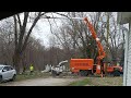 Very loud tree trimming, keeping power lines clear.