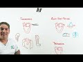 Atrial Fibrillation | Clinical Medicine