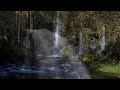 Ukraine Mountain Stream, Water flowing Sound 4k  Forest Stream Sounds Sleep & Relaxation 10 hours