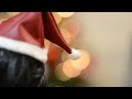 Christmas underwear set | Harucasting Joa BJD