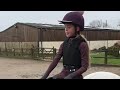 SHOWJUMPING LESSONS
