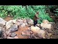 COFFEE HARVEST ON THE RIVER EDGE OF THE MUARADUA MOUNTAINS