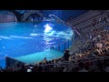 One Ocean All New Shamu Show SeaWorld Orlando Fl