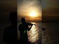 Senede Qalmaz - (Violin Cover: Ehsan Shayan)