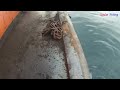 Strike Bertubi Tubi Ikan Tongkol Di Buritan Tongkang | Micro Jigging