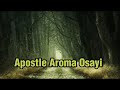 POWER WAS ACTIVATED WHEN THESE GENERAL DID THIS TWO THING #gospel#aromeosayi#sayi#apostlearomaosayi